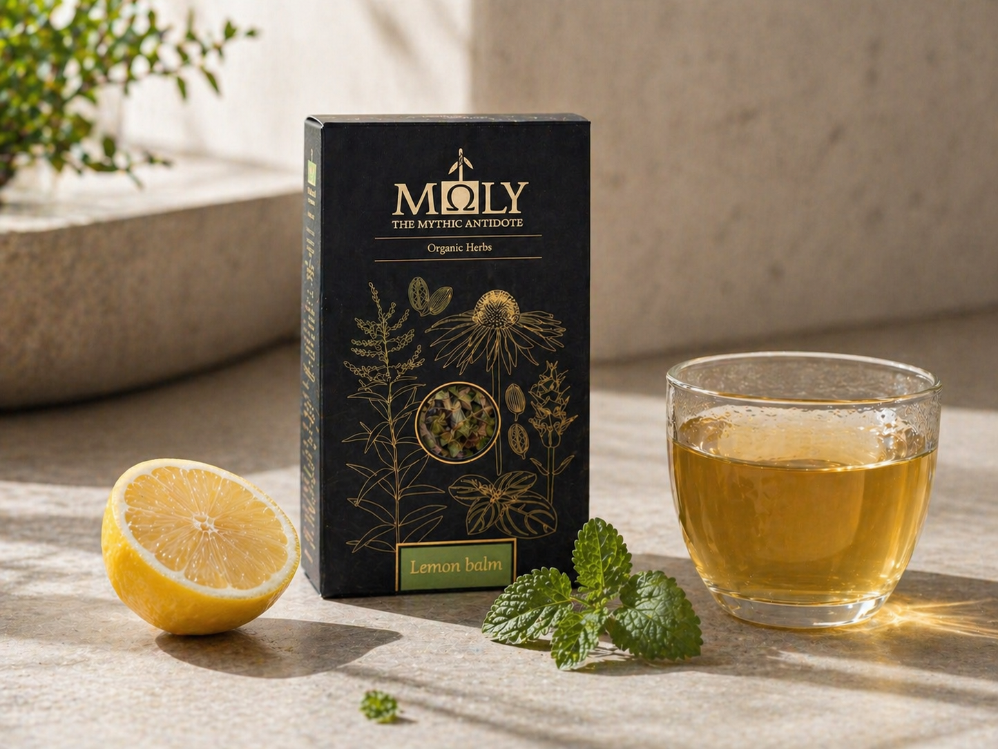 Zitronenmelisse Kräutertee BIO – beruhigend & aromatisch aus dem Mittelmeerraum