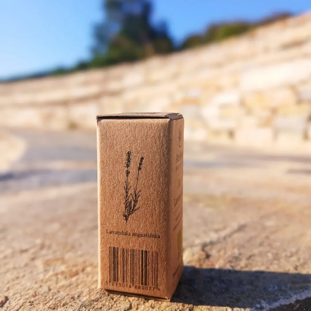 Lavendelöl BIO 12ml – Premium ätherisches Öl beruhigend entspannend & naturrein für Aromatherapie & Wellness