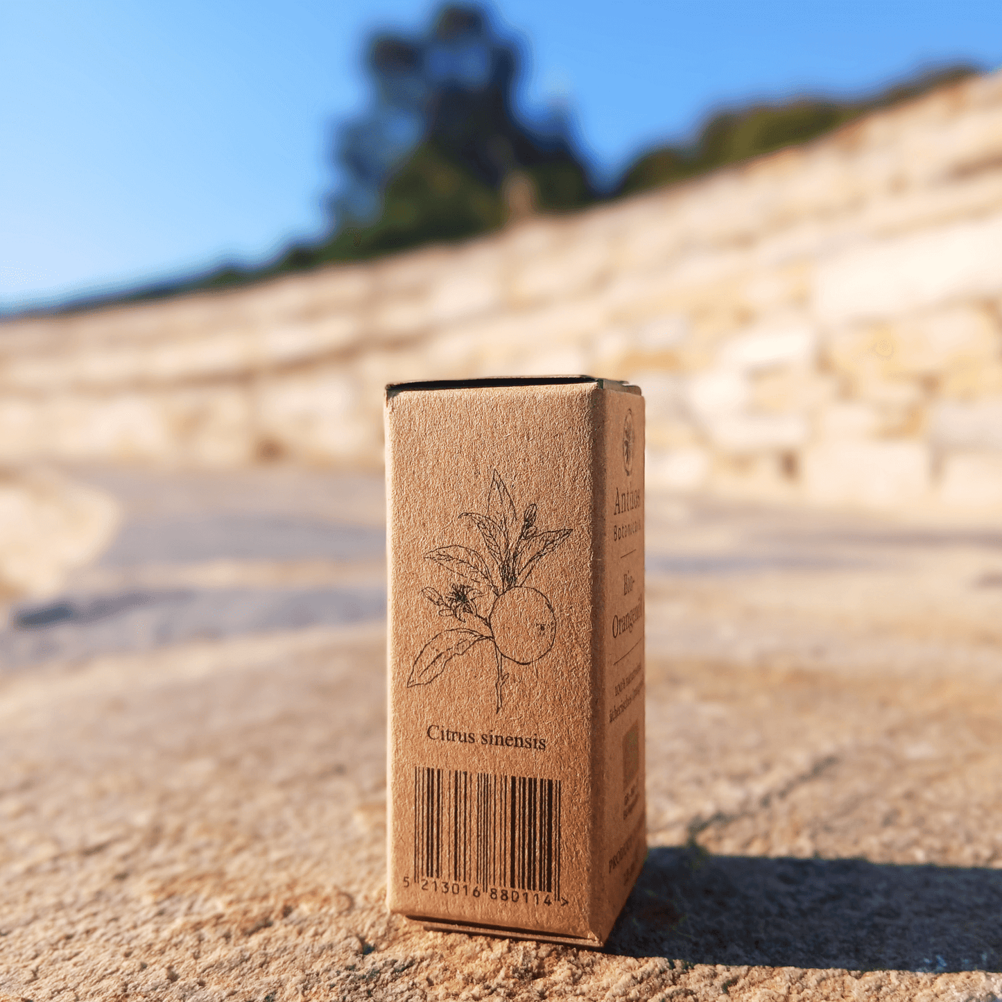 Orangenöl BIO 12ml – Premium ätherisches Öl erfrischend belebend & naturrein für Aromatherapie & Wellness