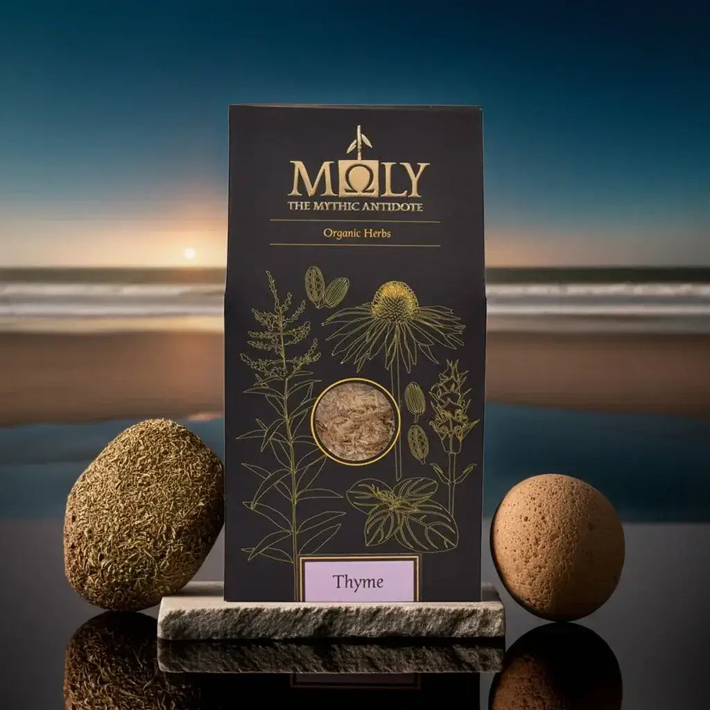 Thymian BIO – Premium Kräutertee aromatisch & wohltuend aus dem Mittelmeerraum