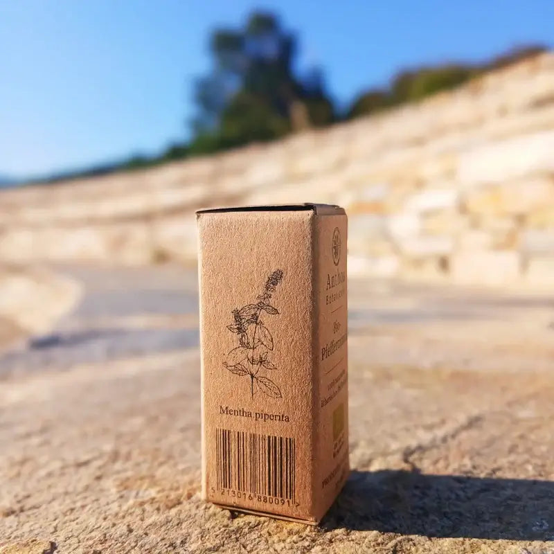 Pfefferminzöl BIO 12ml – Premium ätherisches Öl erfrischend kühlend & naturrein für Aromatherapie & Wellness