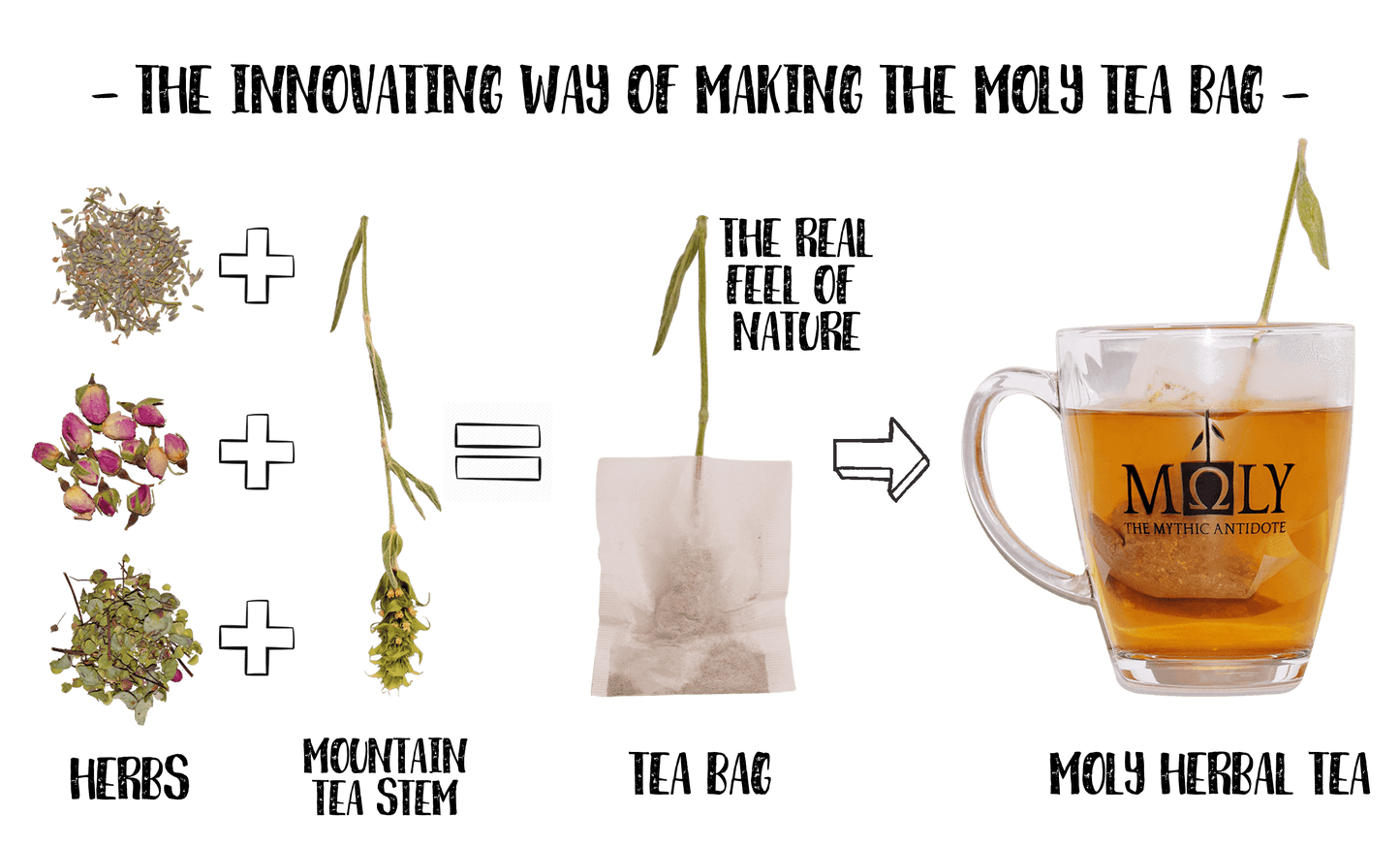 MOLY Ironwort & Zitronenverbene BIO – Premium Bergtee erfrischend belebend & wohltuend aus dem Mittelmeerraum