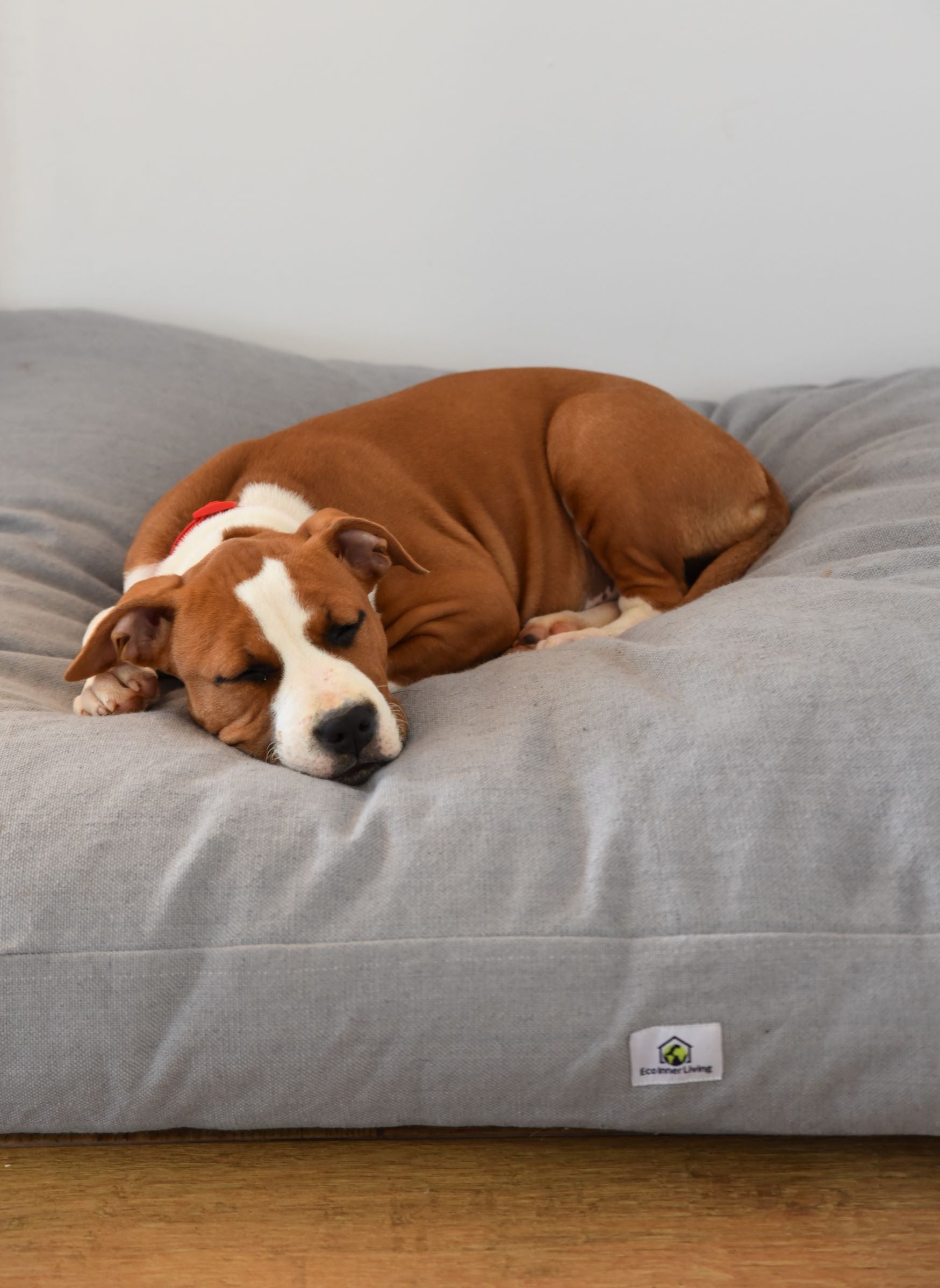 Geis Care – Hundekissen Boris S-M (Kissen)