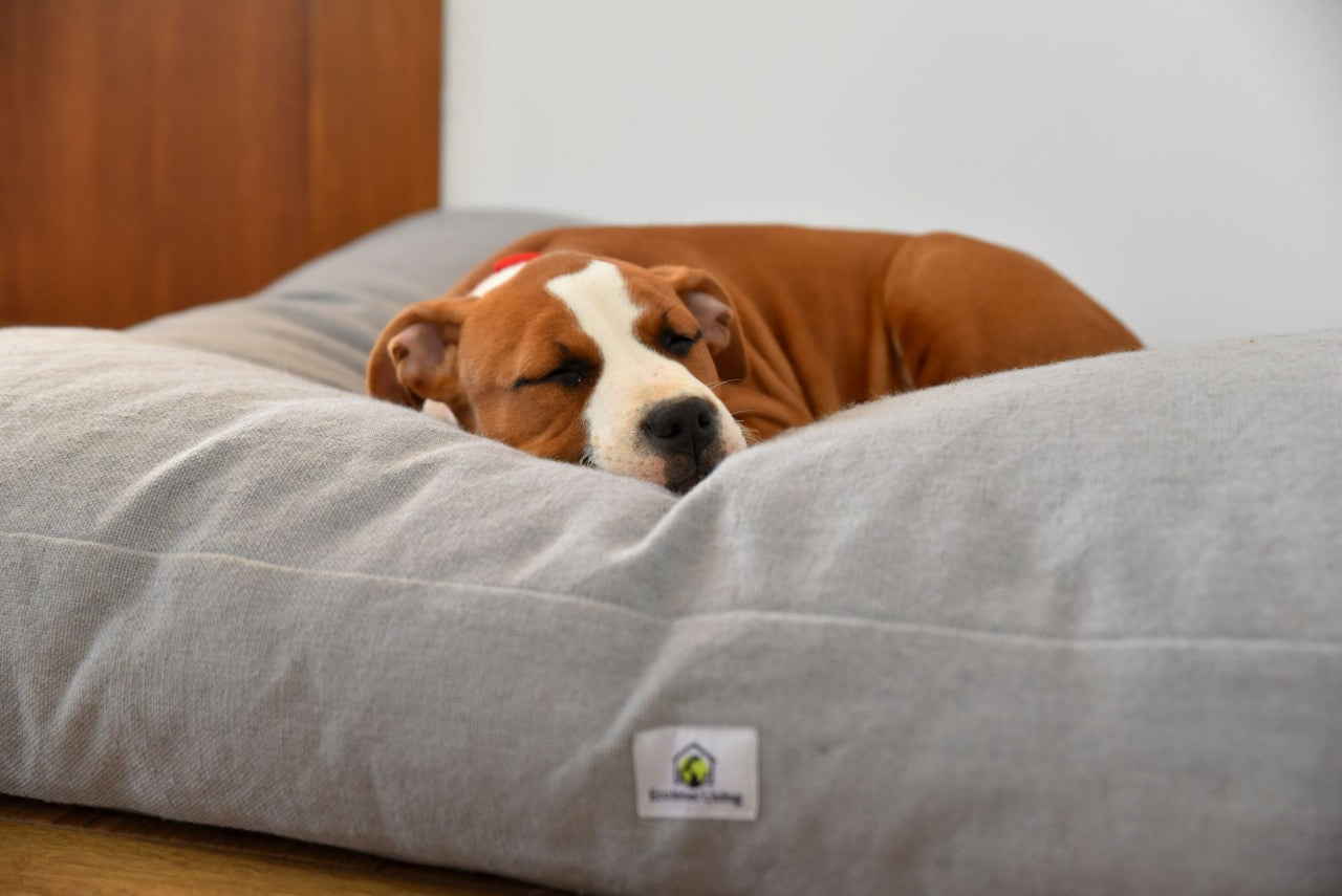 Geis Care – Hundekissen Mia M-L (Kissen)