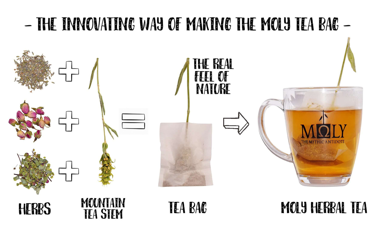 MOLY VARIETY BIO Geschenkbox – Premium Kräutertee Set mit 8 Sorten für Wellness & Genuss